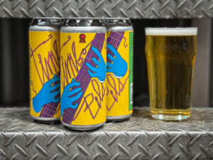 Three cans of Wild Gooseberry Chase - Hazy IPA, with vibrant labels showing blue hands holding a guitar, are placed beside a glass of light beer on a metal diamond-plate surface.