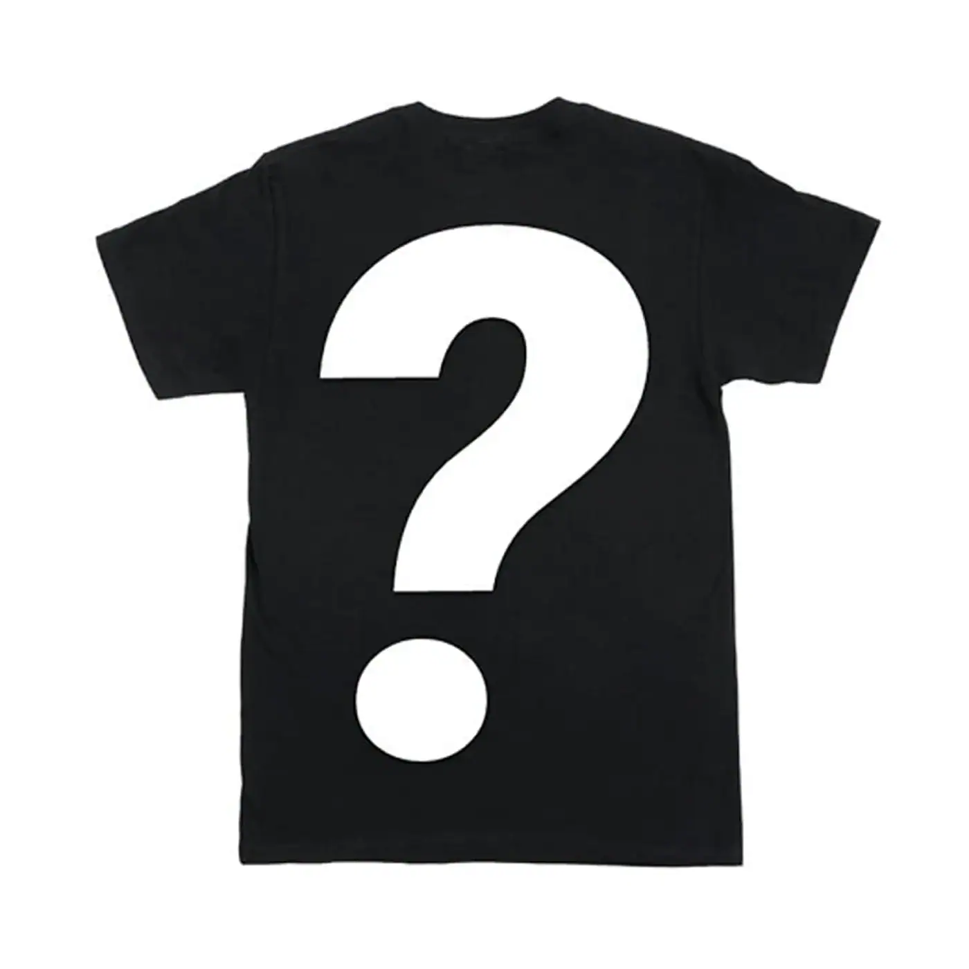 Mystery Shirt/Sweatshirt