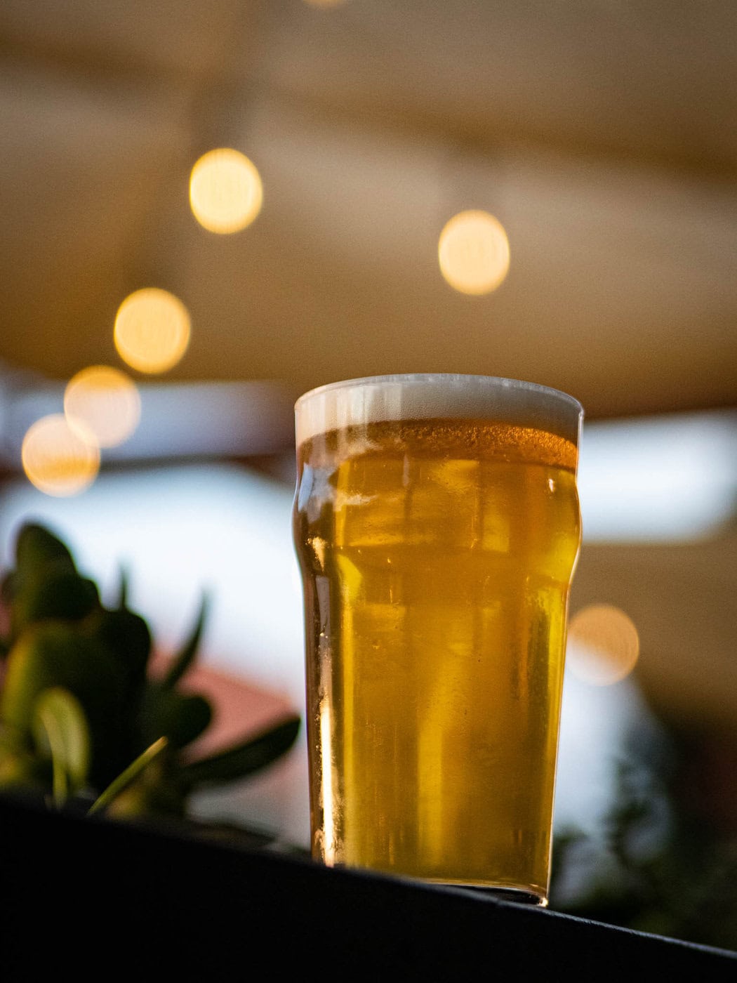 A Pint Glass Of Golden Beer With A Foamy Head Sits On A Dark Surface Outdoors, With Warm, Blurry String Lights And Greenery In The Background.